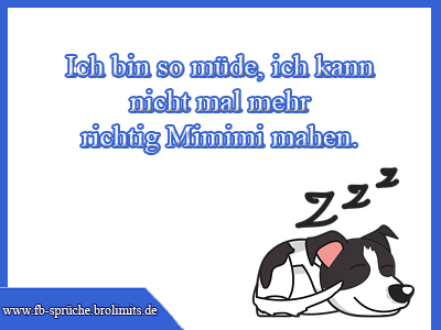 Ich bin so müde ich kann nicht mal mehr richtig Mimimi machen