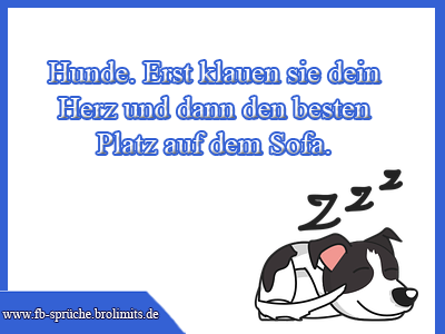 Hunde Erst klauen dein Herz